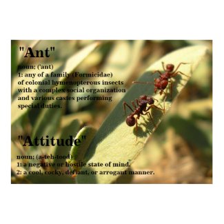 Ants & Attitude - Poster #2 print