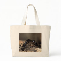 Ants bags