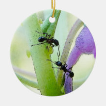 Ants In My Plants Christmas Tree Ornament