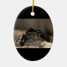 ants kissing christmas tree ornament
