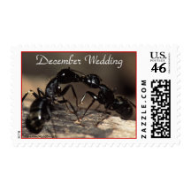 Ants, Kissing, December Wedding, Stamp