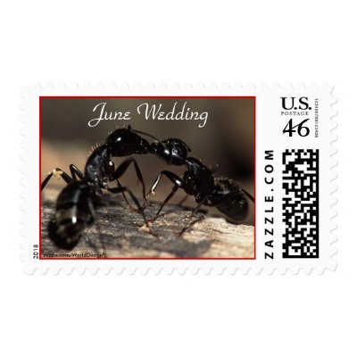 Ants, Kissing, June Wedding, Stamp by WorldDesign