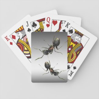 Ants Playing Cards