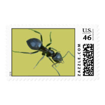 Ants! Postage Stamp
