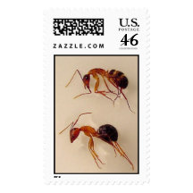 Ants Postage Stamps