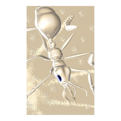 ANTS! POSTER by bulathique