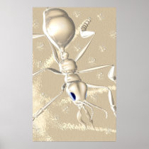 ANTS! POSTER