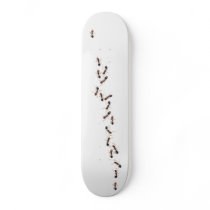 ants skate decks