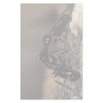 ants stationery paper