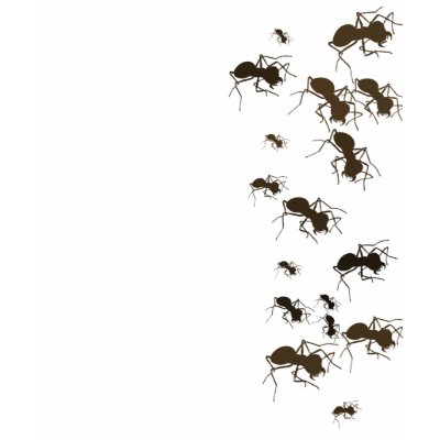 Ants Tshirts by giskard