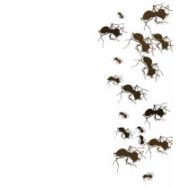 Ants t-shirts