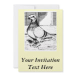 Antwerp Long Faced 1980 Personalized Announcement