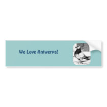 Antwerp Short Faced Pigeon Bumper Sticker