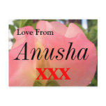 Anusha Postcard