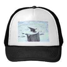 Anvil Trucker Hat