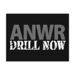 ANWR Drill Now Postcards