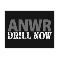 ANWR Drill Now postcards