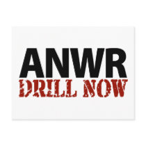 ANWR Drill Now postcards