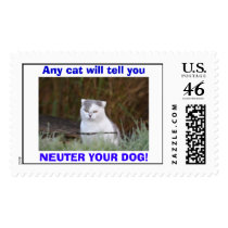Any cat will tell you, NEUTER YOUR DOG! postage