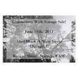 Any Event Scenic Flyer