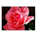 Any Occasion_Card_by Elenne Boothe by ELENNE Any Occasion_Card_by Elenne Boothe
