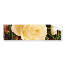 Any Occasions_ Bumper Sticker