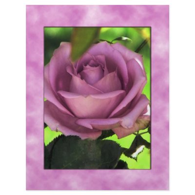 Any Occasions_ Custom Letterhead by ELENNE