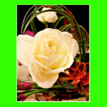Any Occasions_ postcards