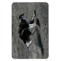 Any photo here - magnet magnets