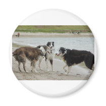 any photo here magnet - 2 magnets