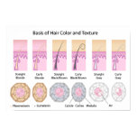 cell, color, follicle, scalp, doctor, loss, hair