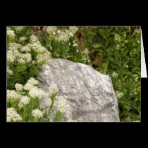 Anyone for a tombstone? cards by Orchidlady Anyone for a tombstone? cards