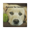 Anyone for tennis, golden retriever. magnets