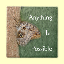 Anything Is Possible Butterfly Inspirational Magne magnets