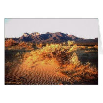Anza Borrego Sunset cards