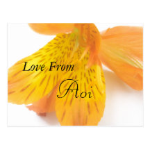 Aoi Postcard