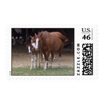 AP- Horses Theme postage