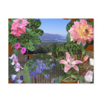 AP- Nature Collage postcard