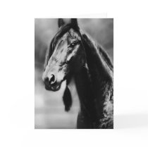 Apache cards by laureenr Apache cards