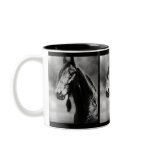 Apache horses coffee mugs