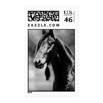 Apache horses postage