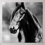 Apache horses posters