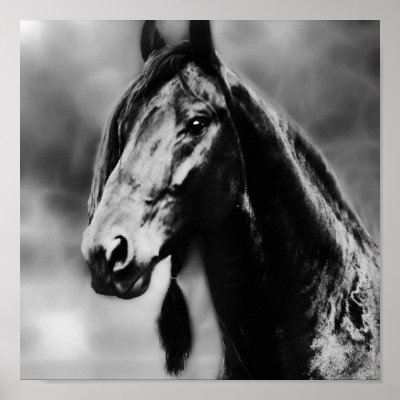 Apache horses print by laureenr