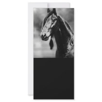 Apache horses personalized rack card