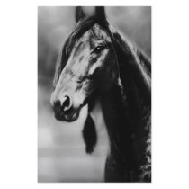 Apache horses stationery design