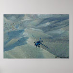APACHE II posters