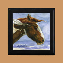 Apache of Sand Wash Basin HMA gift boxes