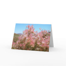 Apache Plume Greeting Card