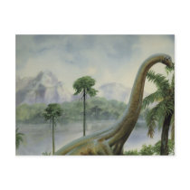 Apatosaurus (Brontosaurus) Eating Illustration Post Card