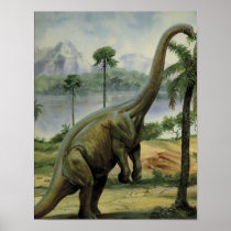 Apatosaurus (Brontosaurus) Eating Illustration Posters